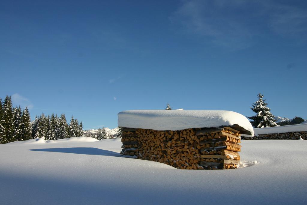 Chalet Genepi Montriond Eksteriør billede