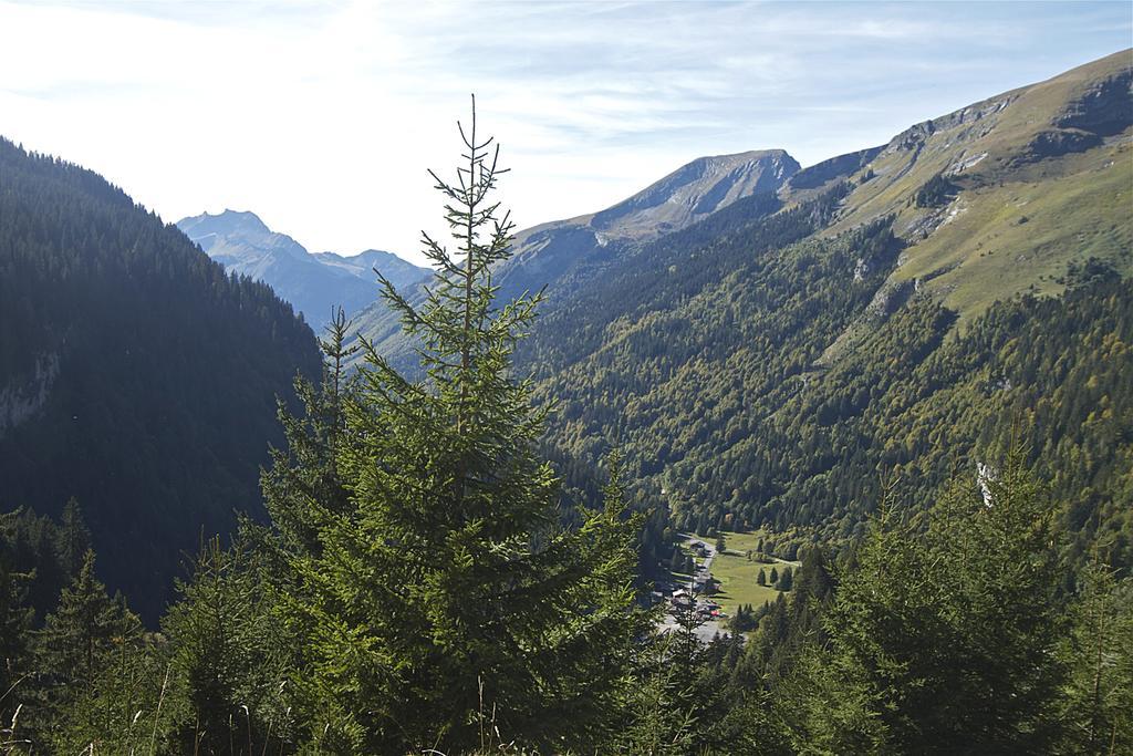Chalet Genepi Montriond Eksteriør billede